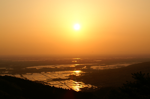 20060503_tsukubachoshi_015